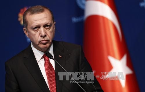 Turkey to hold referendum on joining EU - ảnh 1